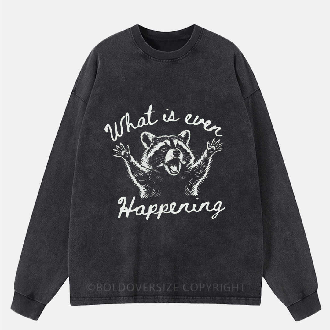 Vintage What Is Even Happening Raccoon Washed Long Sleeve Shirt