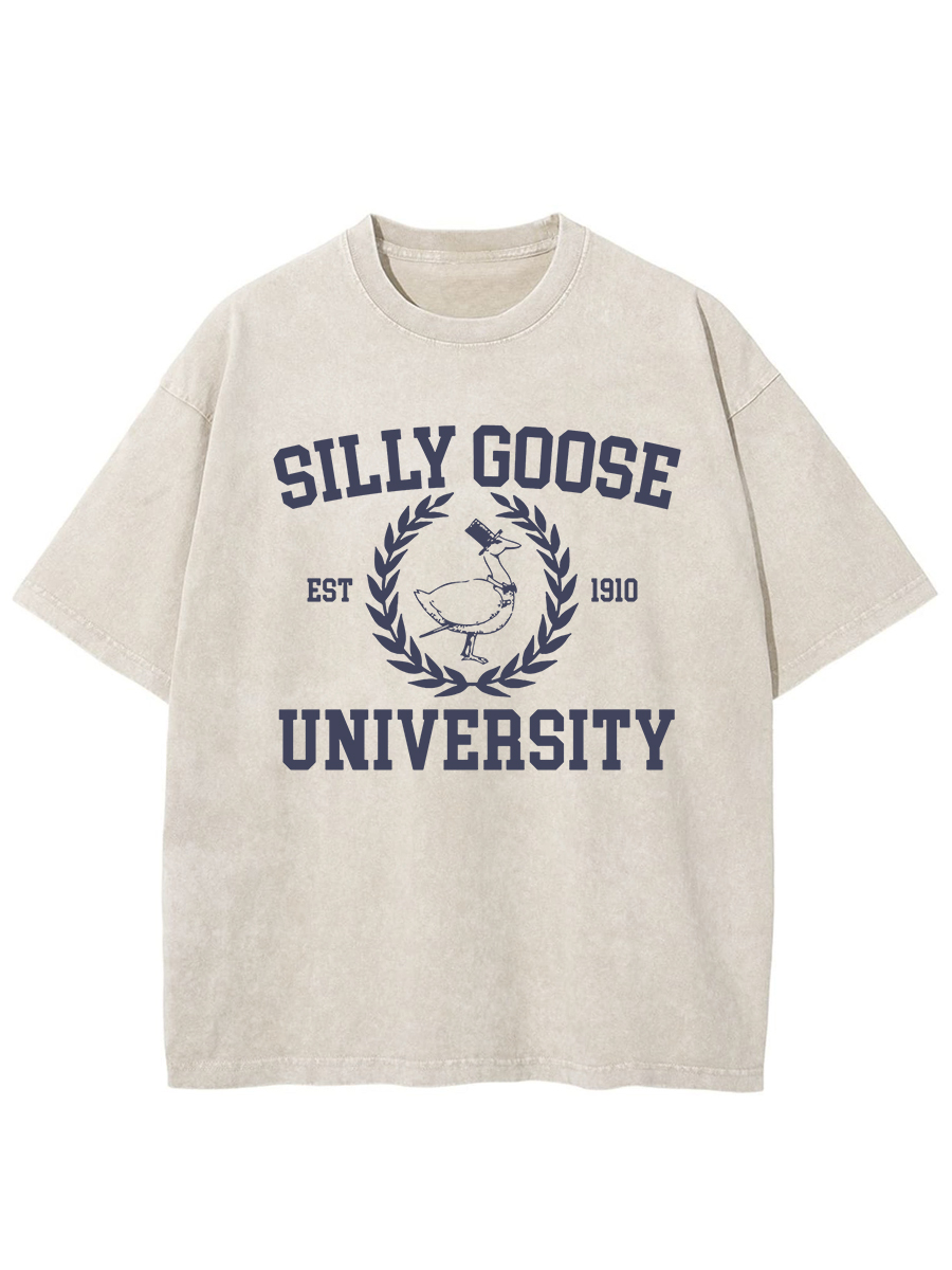 Vintage Silly Goose University Crewneck Washed T-Shirt
