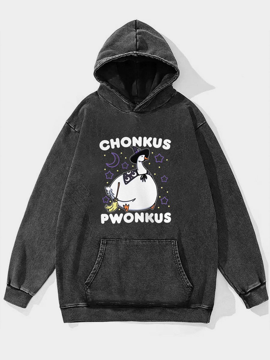 Plus Size Honkus Ponkus Washed Hoodie