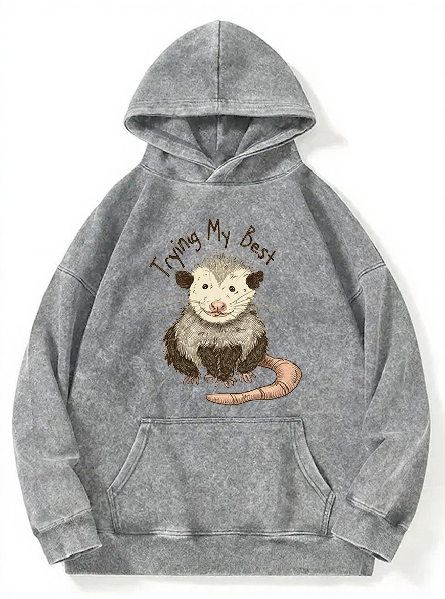 Vintage Trying Best Mouse Washed Hoodie