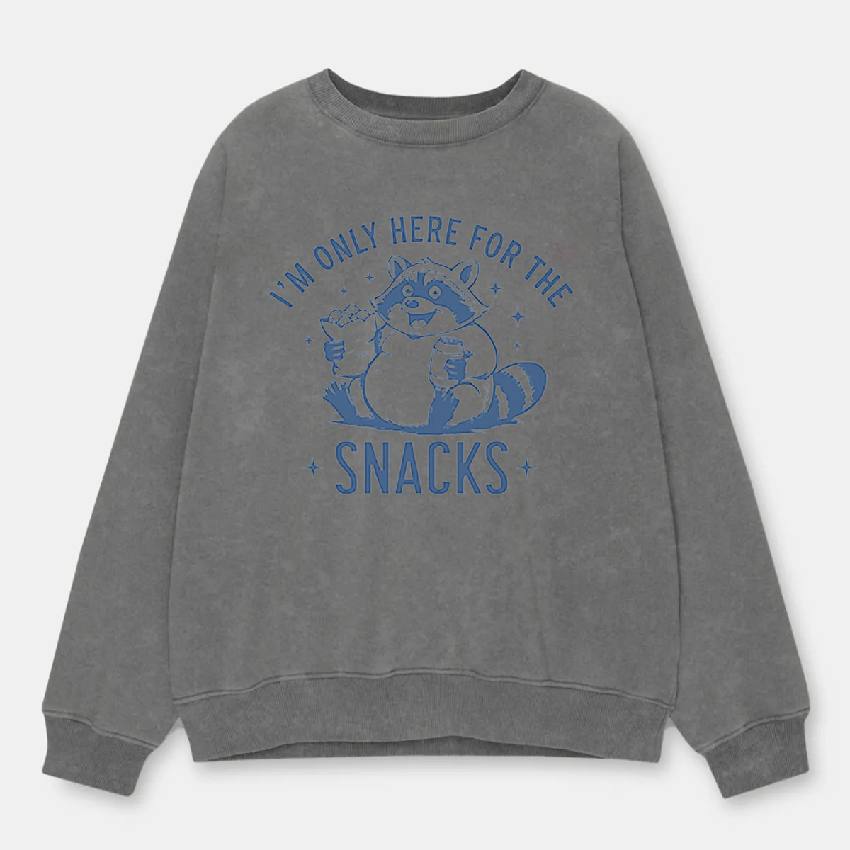 Vintage I’M Only Here For The Snacks Cat Washed Sweatshirt