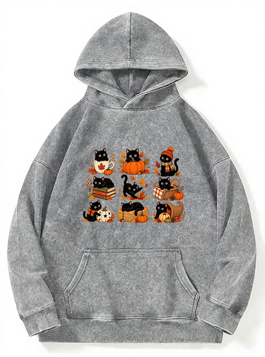 Vintage Fall Cat Washed Hoodie