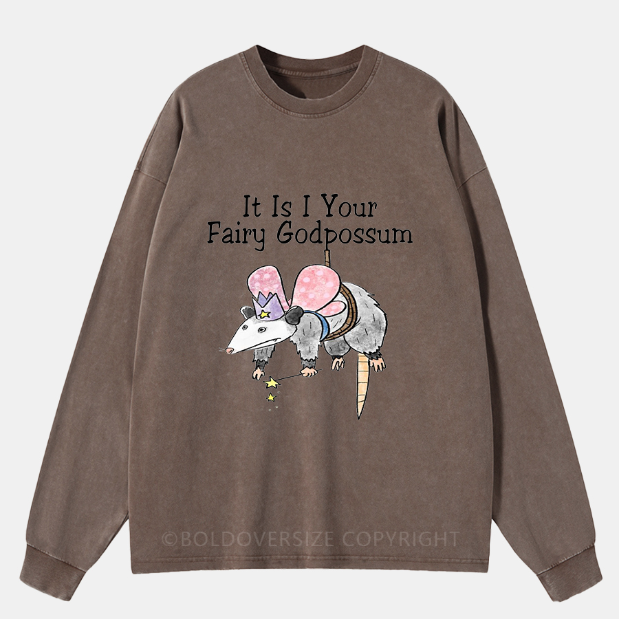 Vintage It Is I Your Fairy Godpossum Washed Long Sleeve Shirt