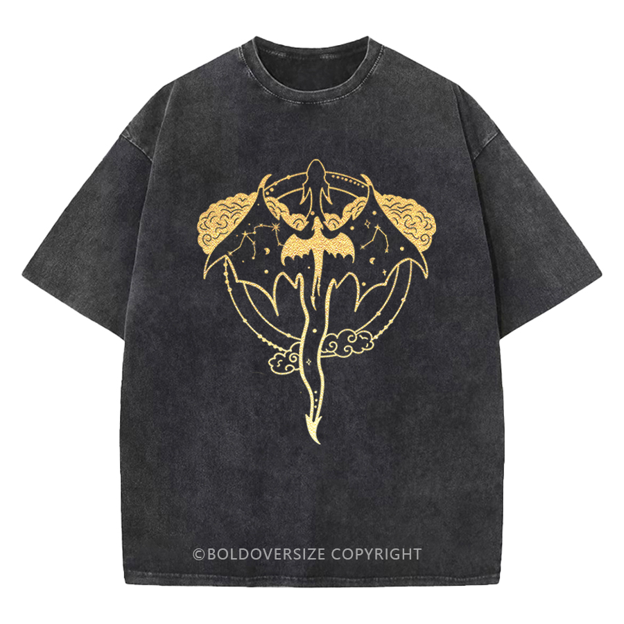 Celestial Tairn And Andarna Washed Book T-Shirt