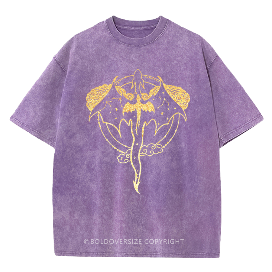 Celestial Tairn And Andarna Washed Book T-Shirt