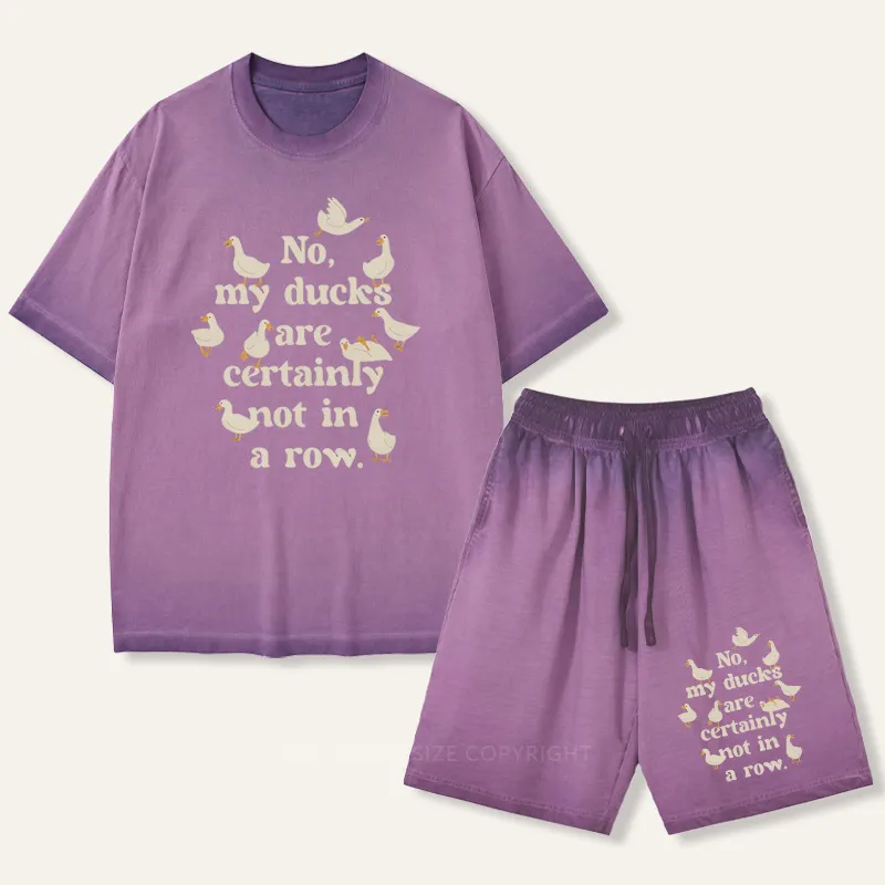 Vintage My Ducks Are Certainly Not In A Row Gradient Washed Suit