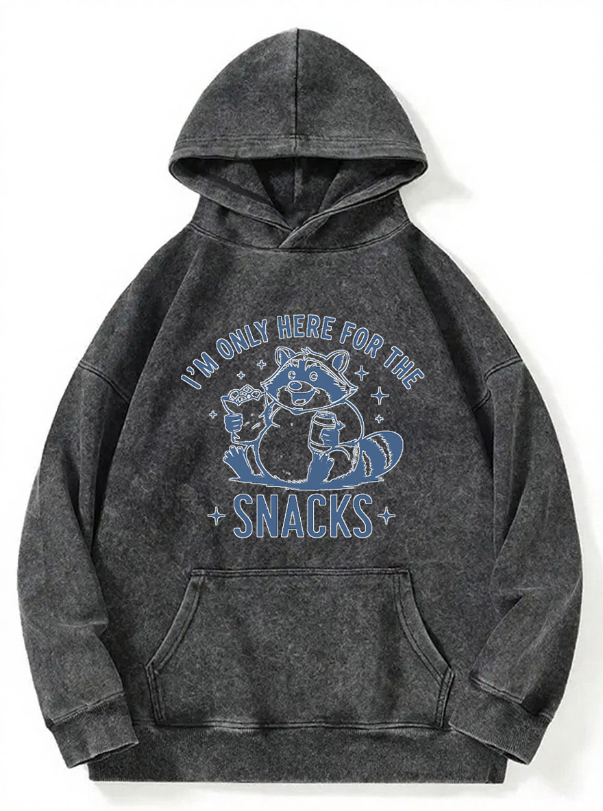 Vintage I’M Only Here For The Snacks Raccoon Washed Hoodie