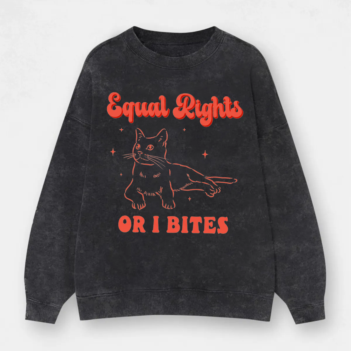 Vintage Equal Rights Or I Bites Cat Washed Sweatshirt