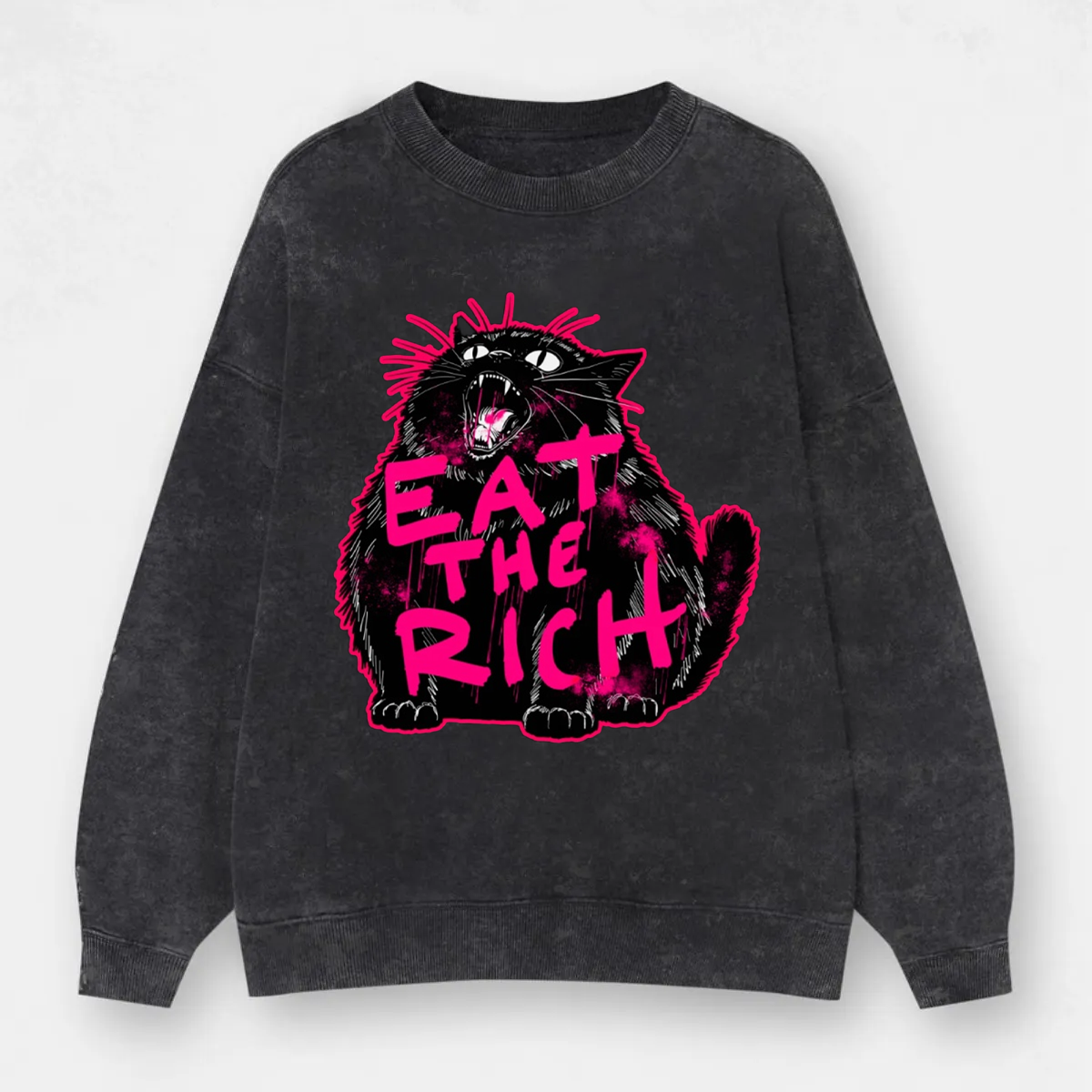 Vintage Eat The Rich Cat Washed Sweatshirt