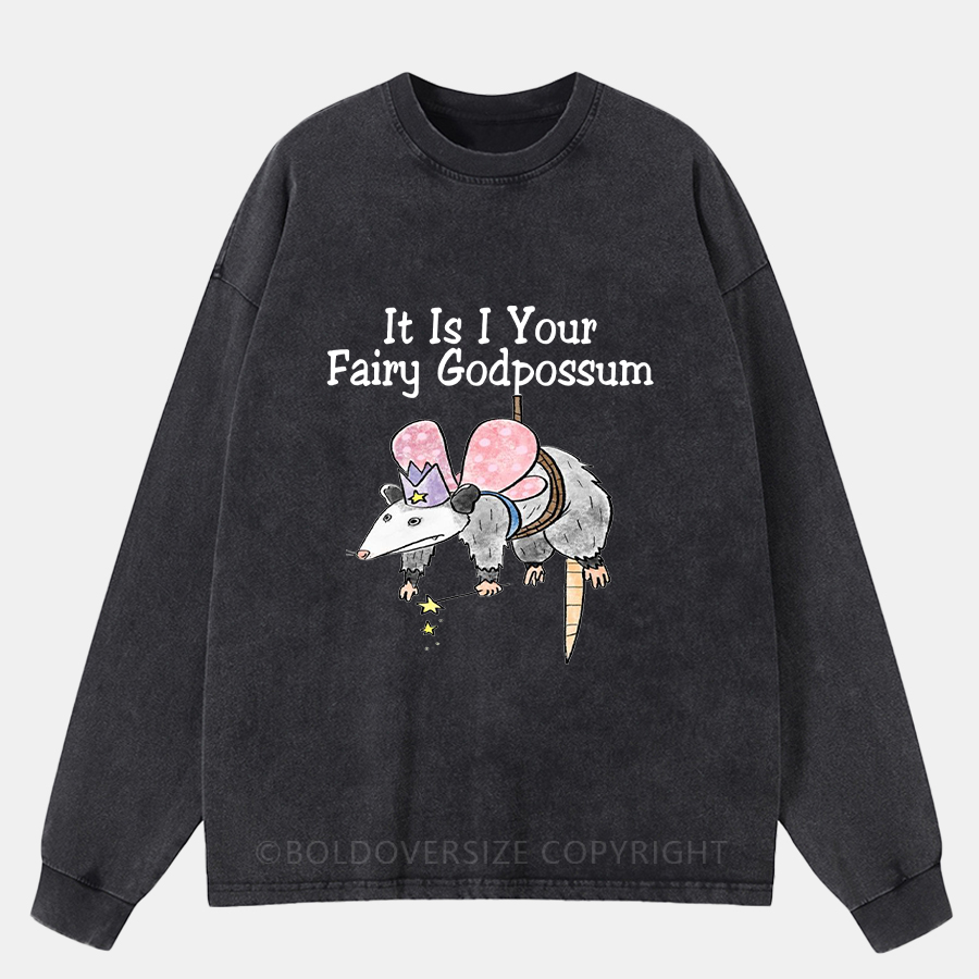 Vintage It Is I Your Fairy Godpossum Washed Long Sleeve Shirt
