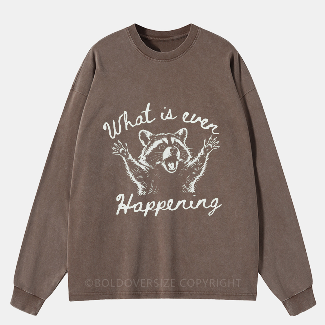 Vintage What Is Even Happening Raccoon Washed Long Sleeve Shirt