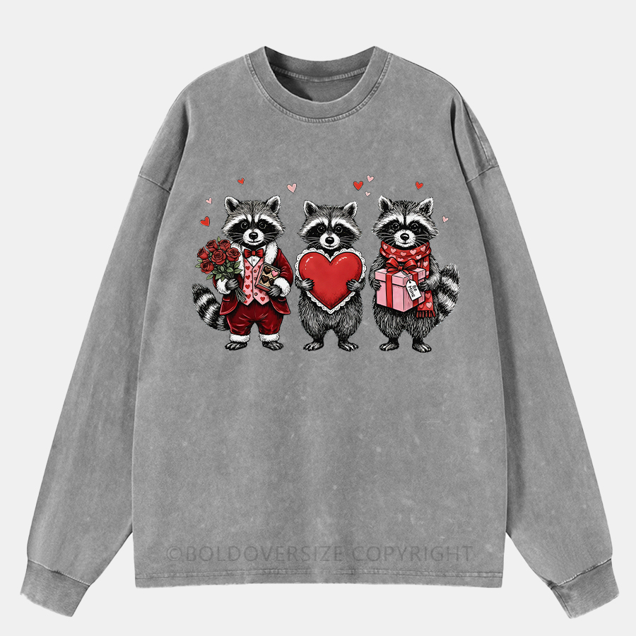 Vintage Valentines Raccoon Washed Long Sleeve Shirt