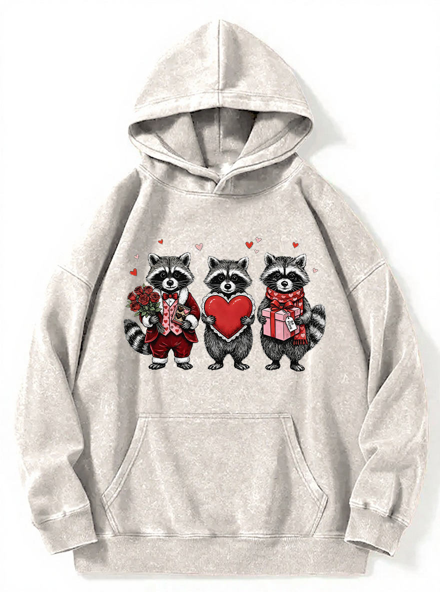 Vintage Valentines Raccoon Washed Hoodie