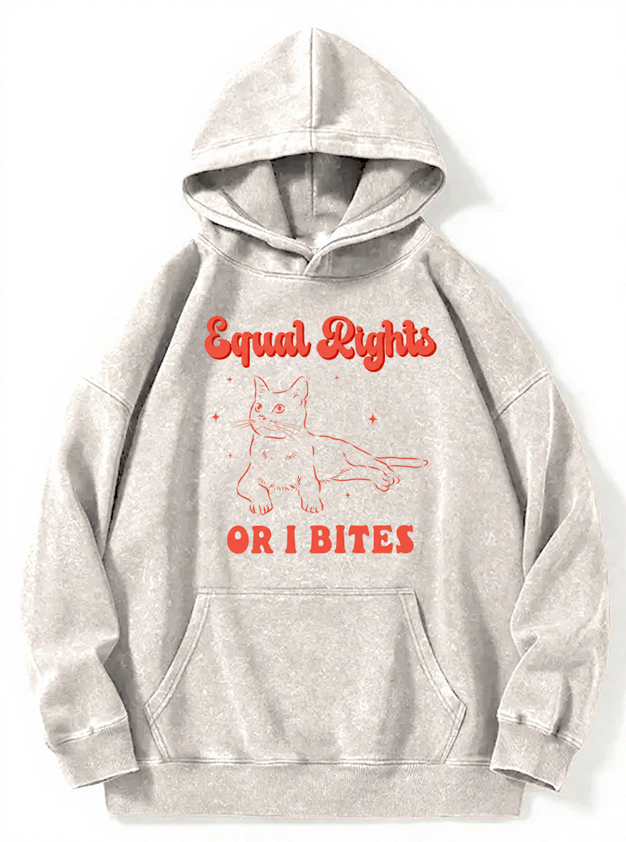 Vintage Equal Rights Or I Bites Cat Washed Hoodie