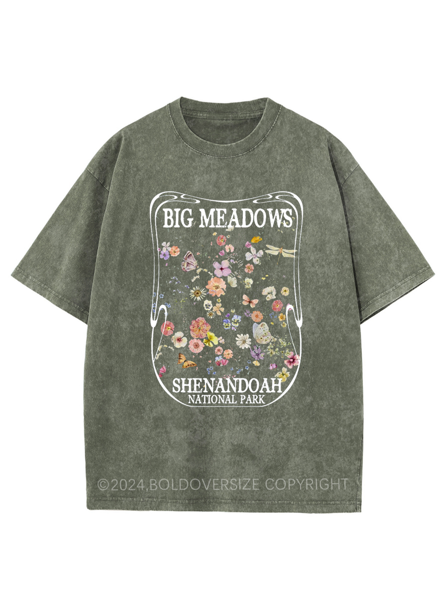 Vintage Big Meadows Shenandoah National Park Washed T-Shirt