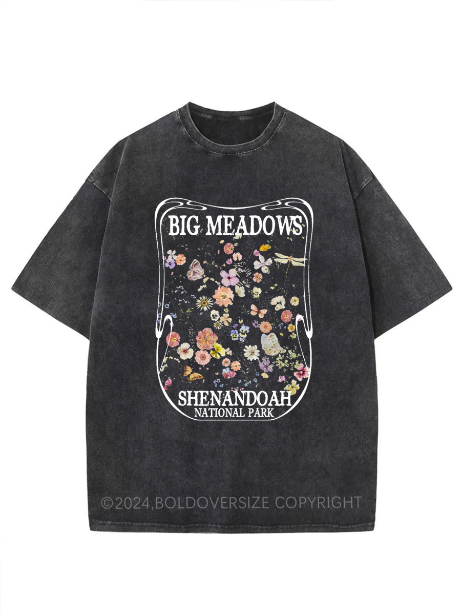 Vintage Big Meadows Shenandoah National Park Washed T-Shirt