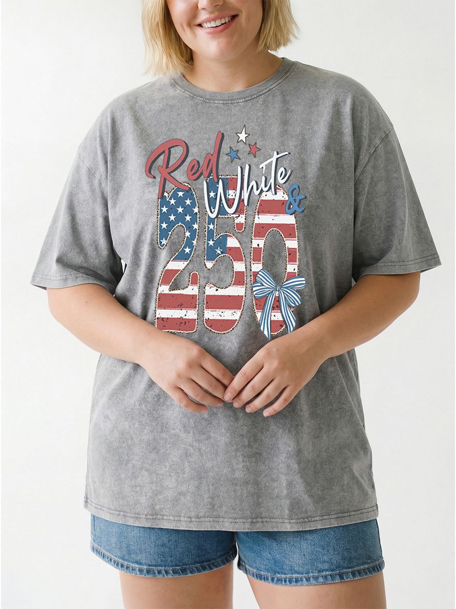 Vintage Red White & 250 Anniversary Washed T-Shirt