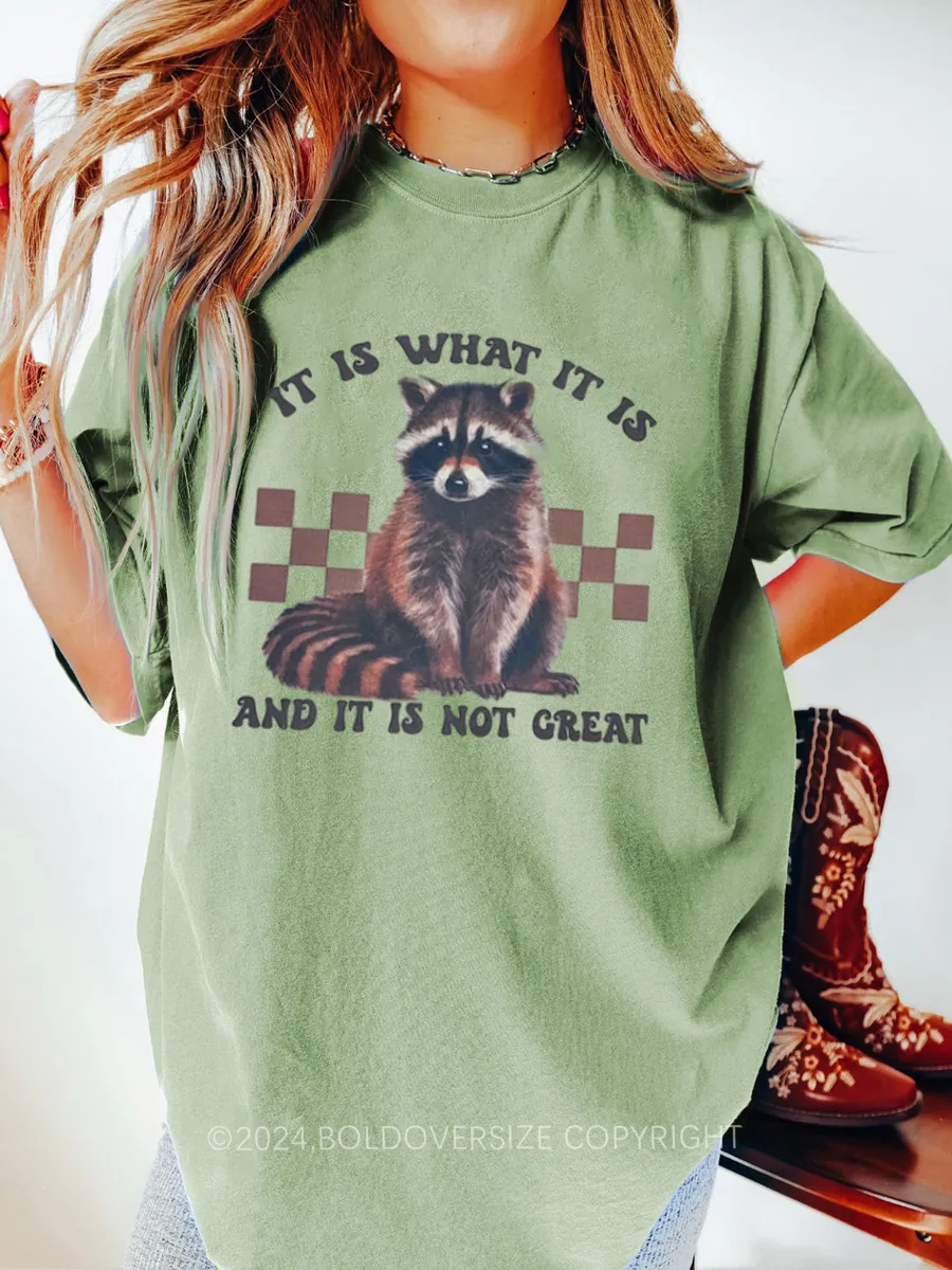 Vintage It Is What It Is Tee