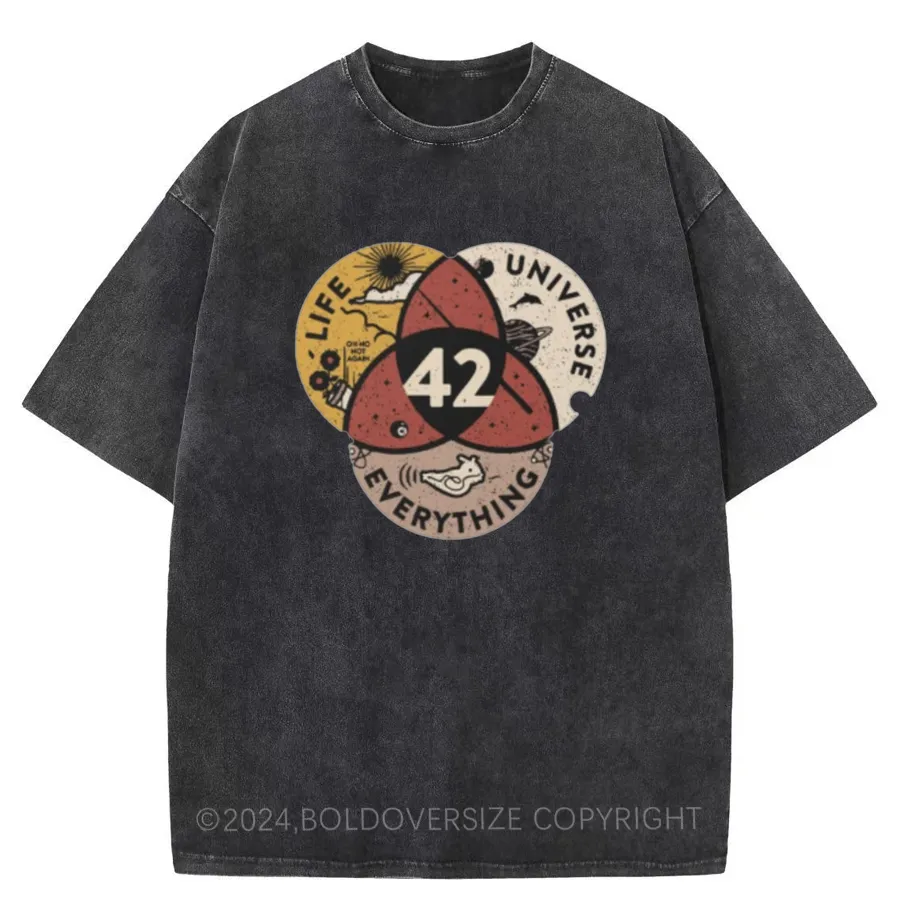 Vintage 42 The Answer To Life The Universe And Everything Essential Washed T-Shirt