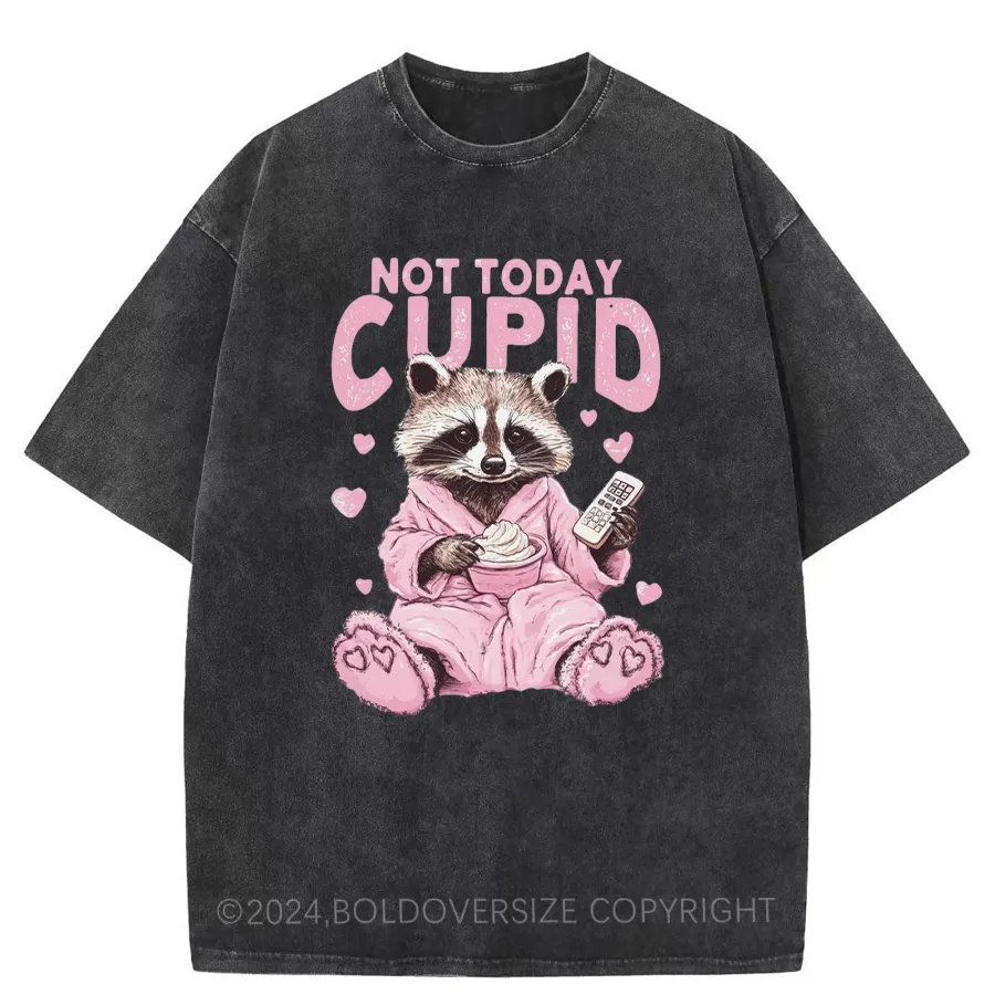 Vintage Not Today Cupid Snarky Raccoon Valentine'S Day Washed T-Shirt