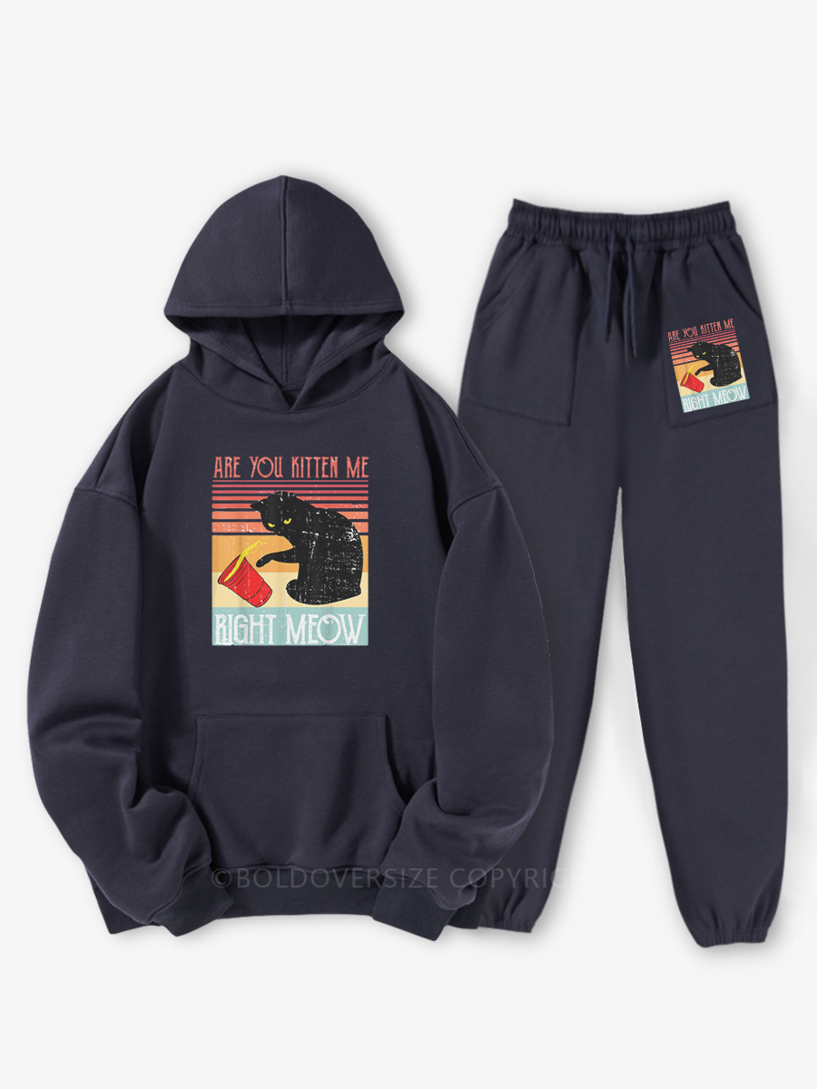 Vintage Are You Kitten Me Right Meow Fleece Hoodie Suit