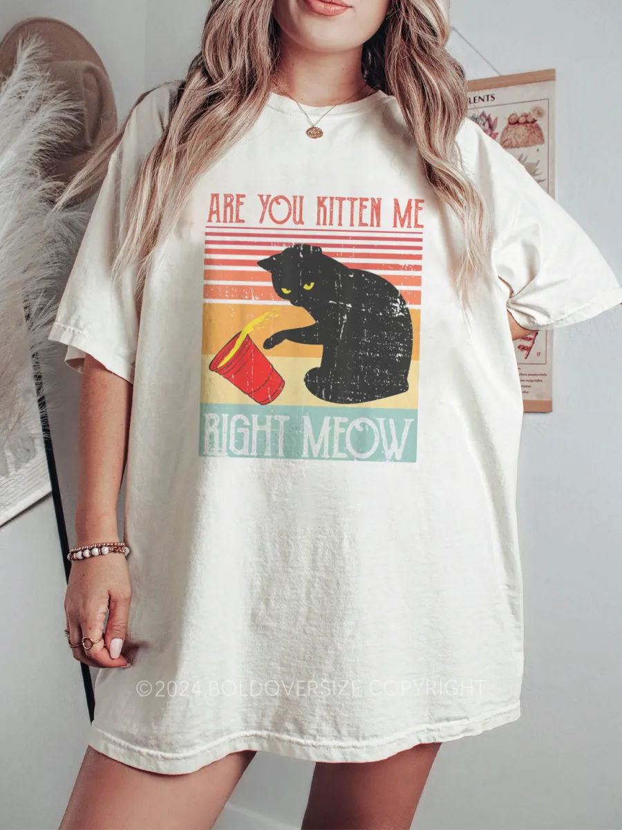 Vintage Are You Kitten Me Right Meow Tee