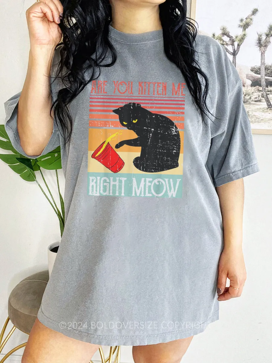 Vintage Are You Kitten Me Right Meow Tee