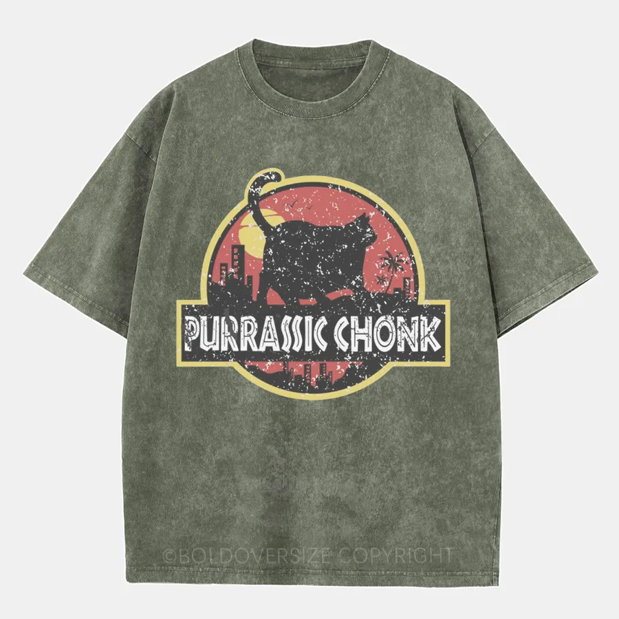 Vintaget Purrassic Chonk Washed T-Shirt
