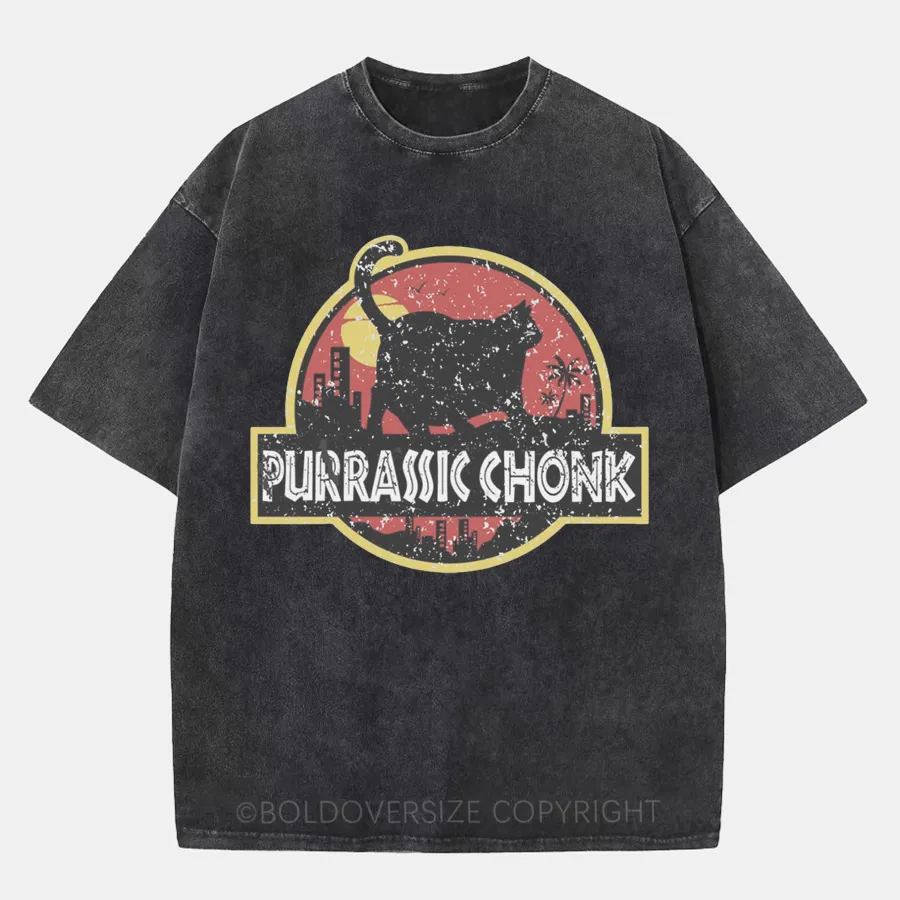 Vintaget Purrassic Chonk Washed T-Shirt