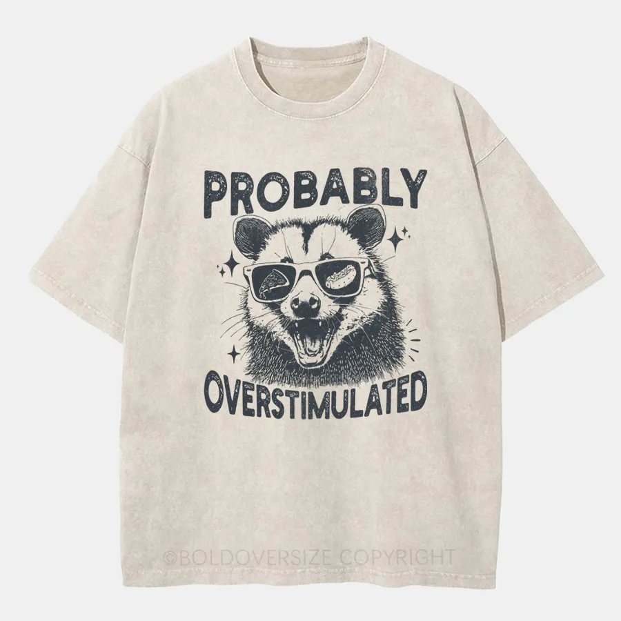 Vintage Probably Overstimulated Washed T-Shirt