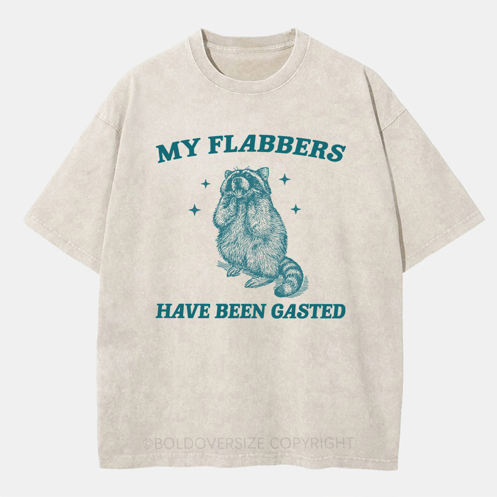 Vintage My Flabbers Have Been Gasted Washed T-Shirt