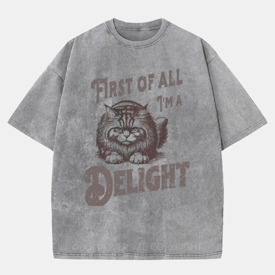Vintaget I'M A Delight Washed T-Shirt