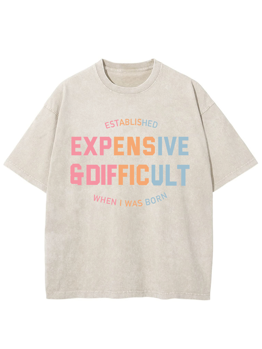 Vintage Expensive & Difficult Washed T-Shirt