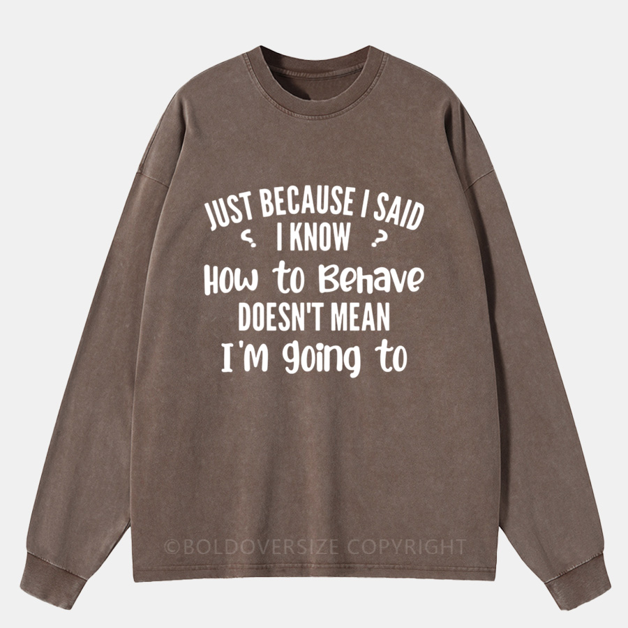Vintage Just Because I Said I Know How To Behave Doesn'T Mean I'M Going To Washed Long Sleeve Shirt