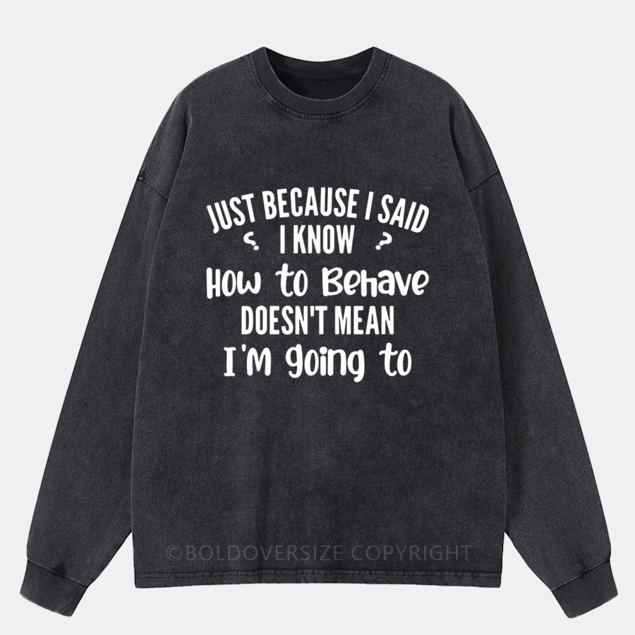 Vintage Just Because I Said I Know How To Behave Doesn'T Mean I'M Going To Washed Long Sleeve Shirt