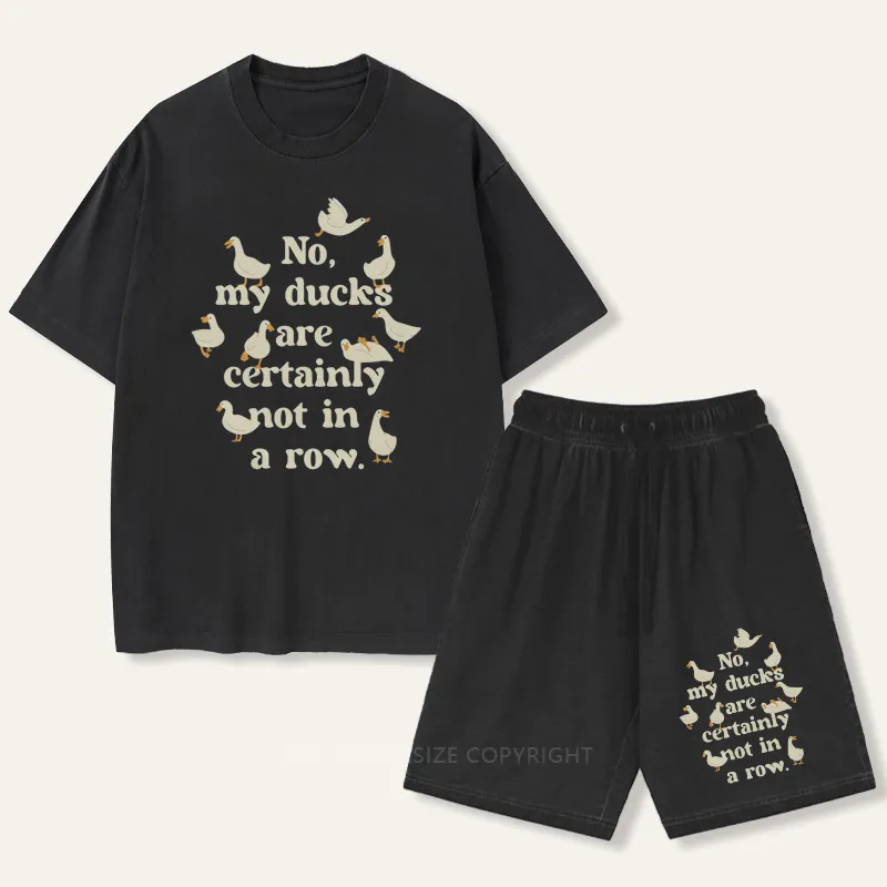 Vintage My Ducks Are Certainly Not In A Row Gradient Washed Suit