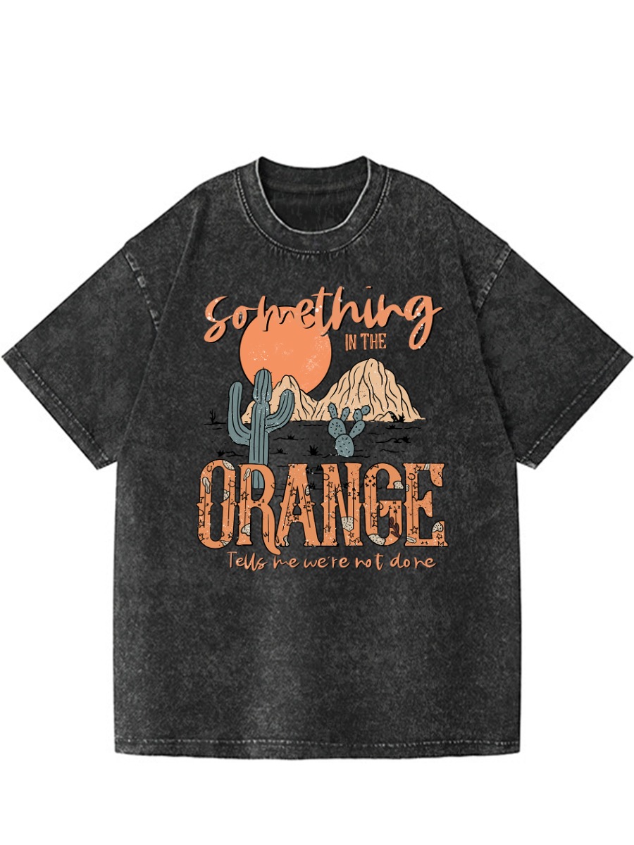 Vintage Something In The Orange Washed T-Shirt