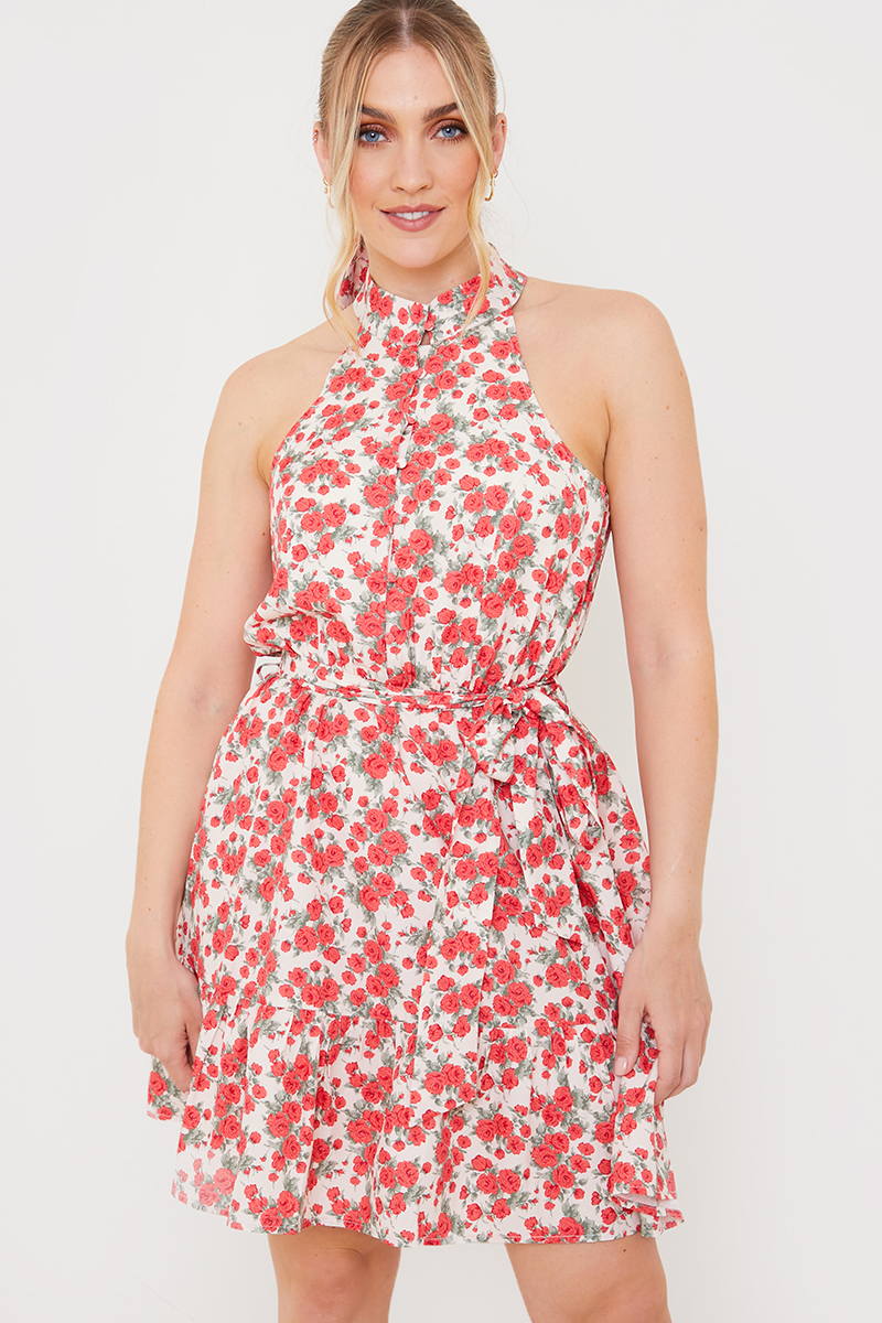 Polo In The Park Dress