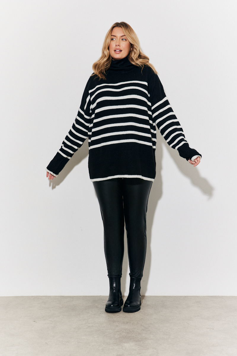 Stripe Roll Neck Knit Jumper