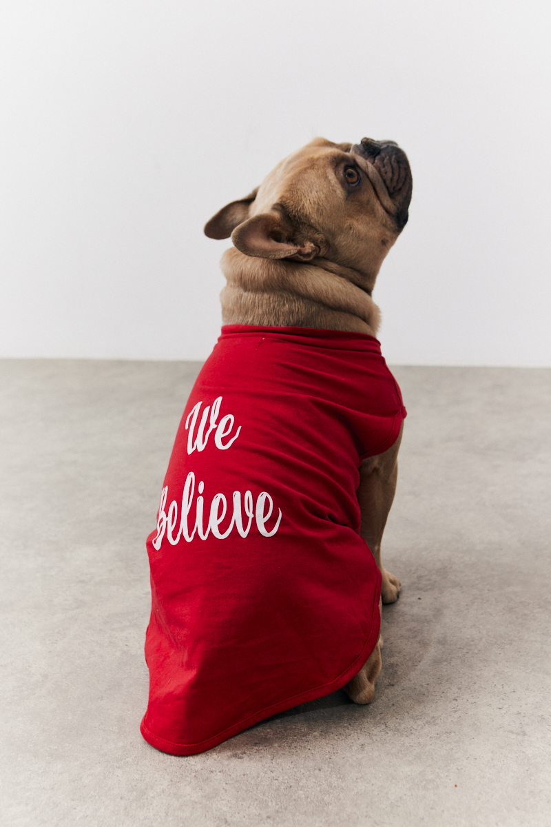 Red We Believe Matching Dog Coat
