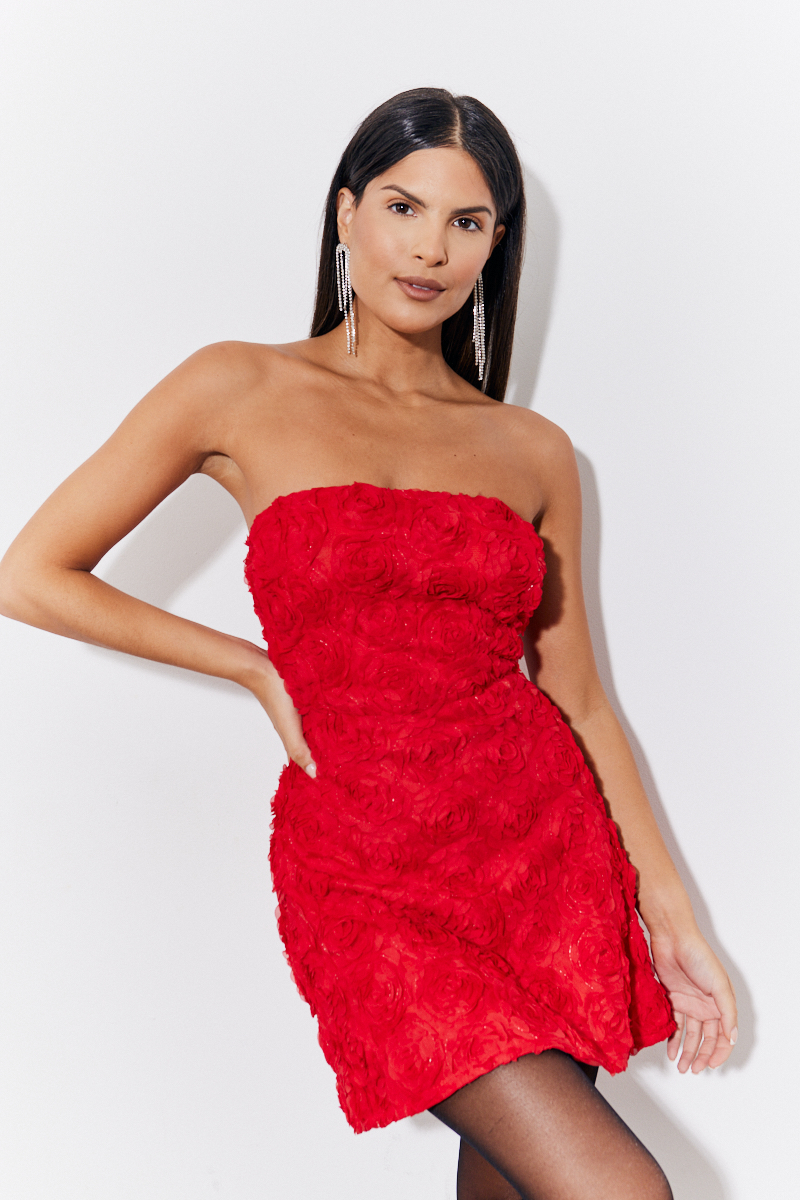 Red 3D Floral Bandeau Mini Dress