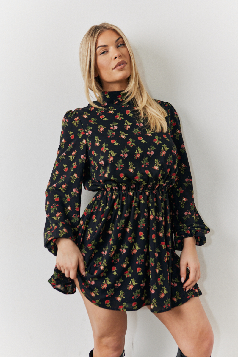 Rose Print High Neck Dress