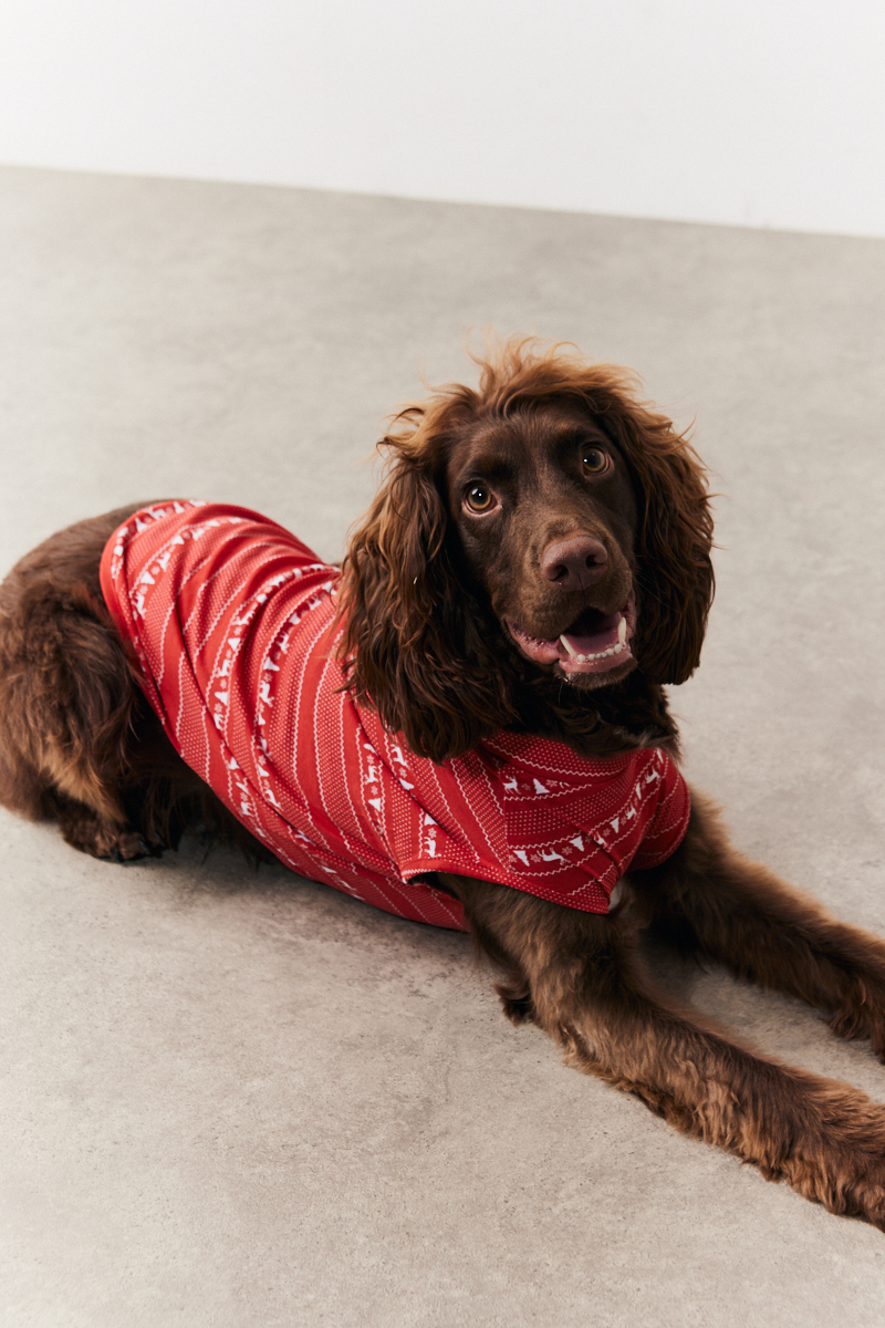 Dog Fairisle Print Pyjama