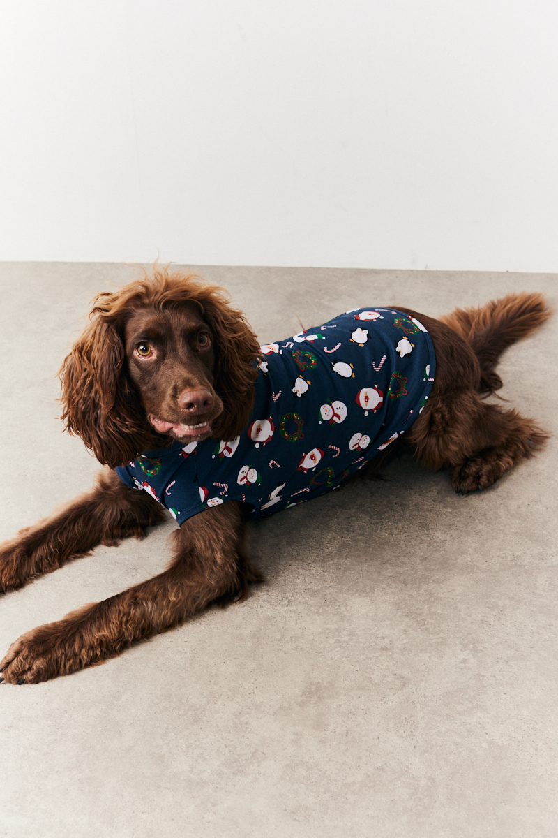 2 Piece Boykin Spaniel Long PJ Set 2 Piece Boykin Spaniel Long PJ Set