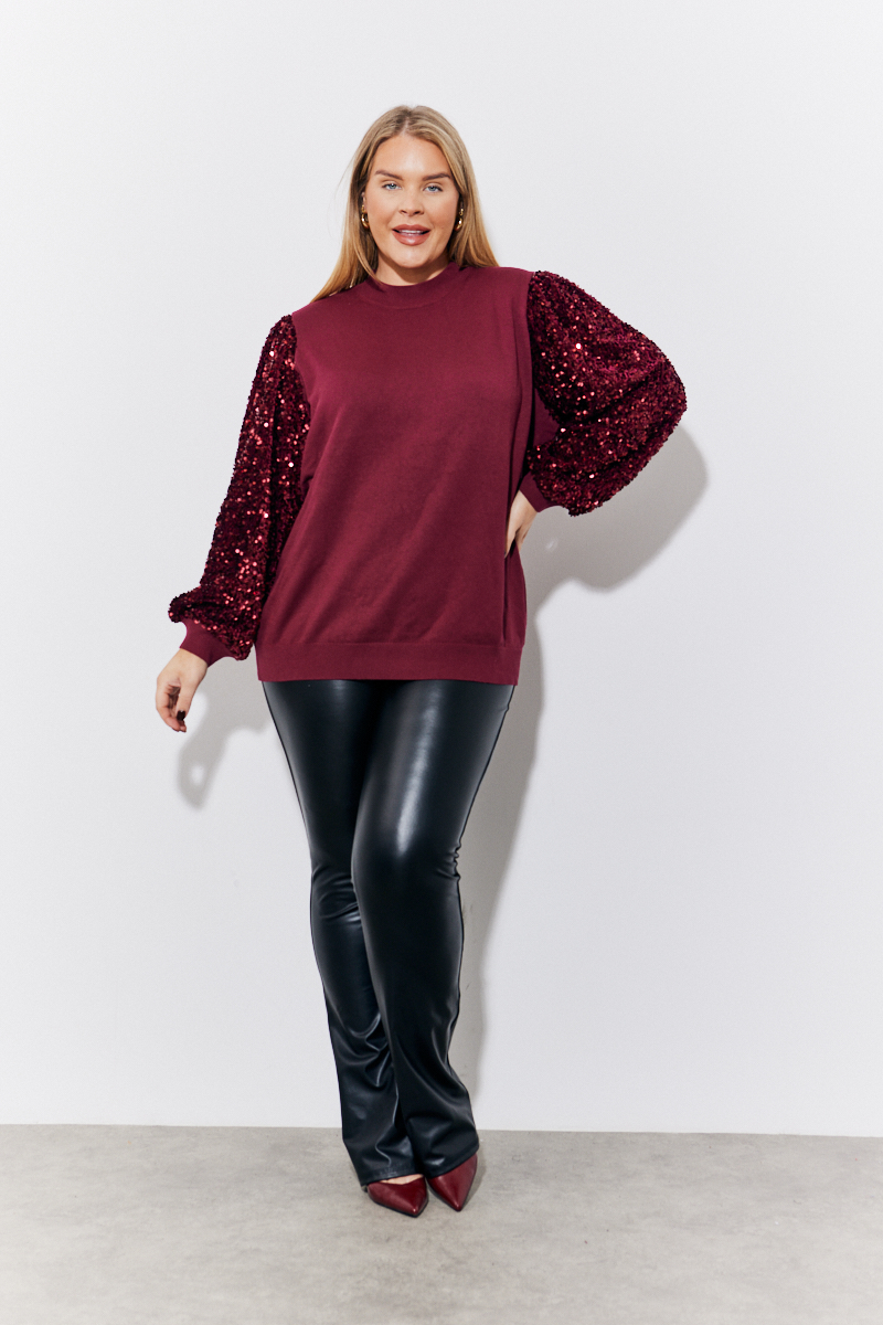 Burgundy Sequin Balloon Sleeve Knit Jumper