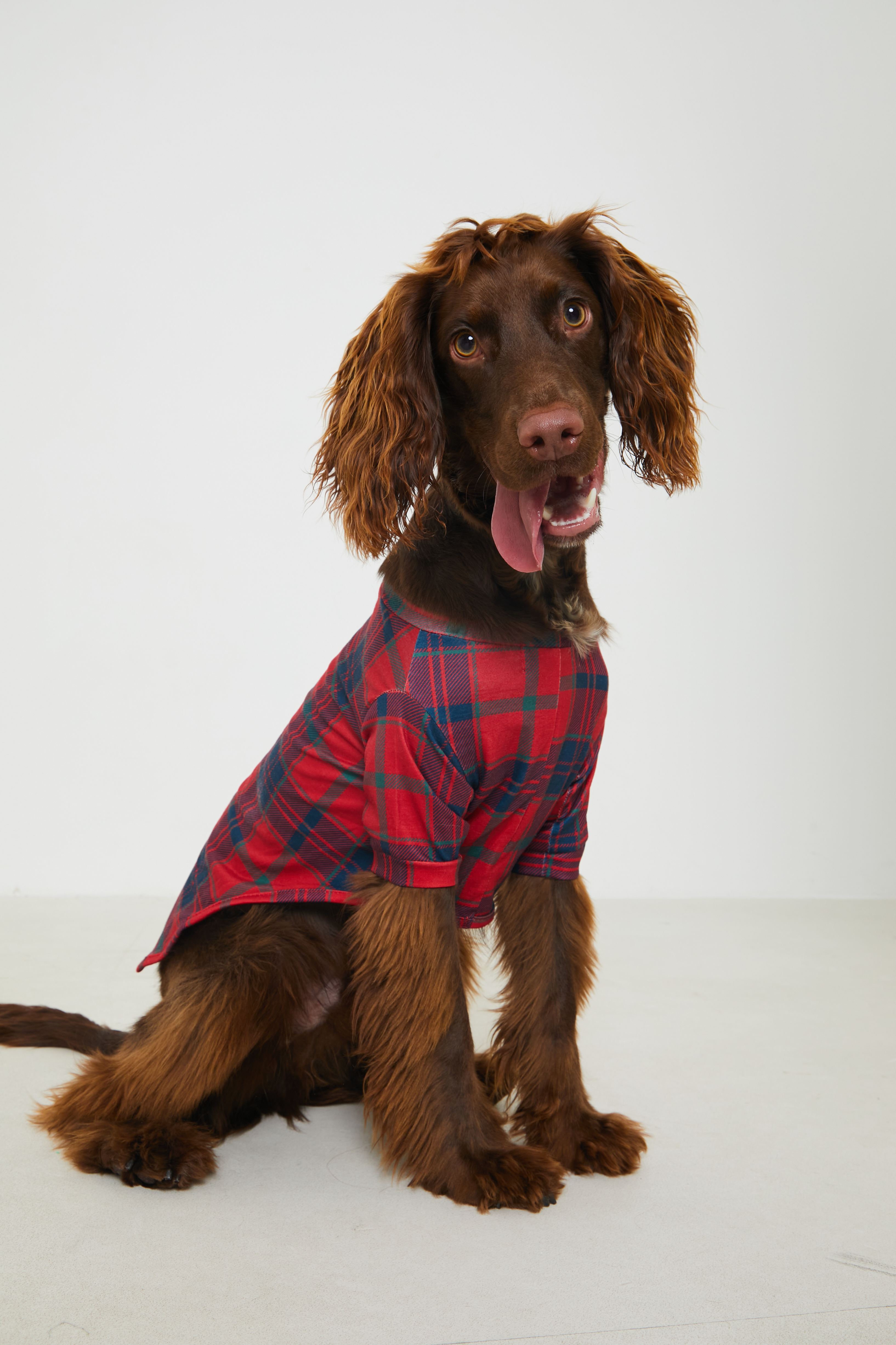 Red and black flannel best sale dog pajamas