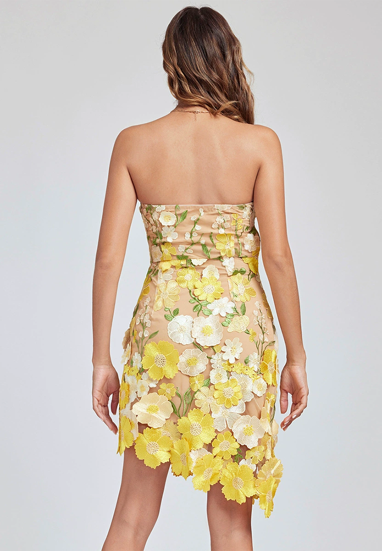 2025 Summer Tube Top Mini Dress CA25021335