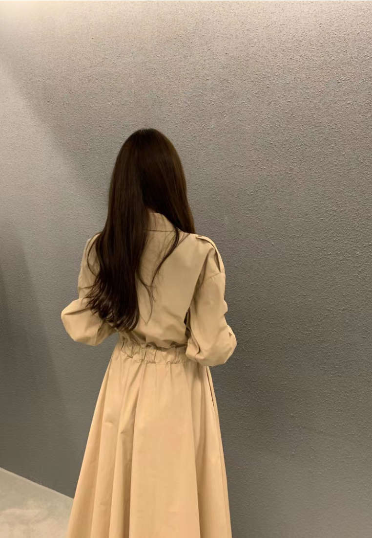 Temperament single breasted waist cinched long sleeved dress CA25031901BE