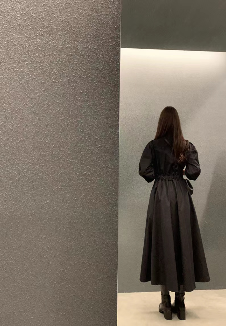 Temperament single breasted waist cinched long sleeved dress CA25031901BE