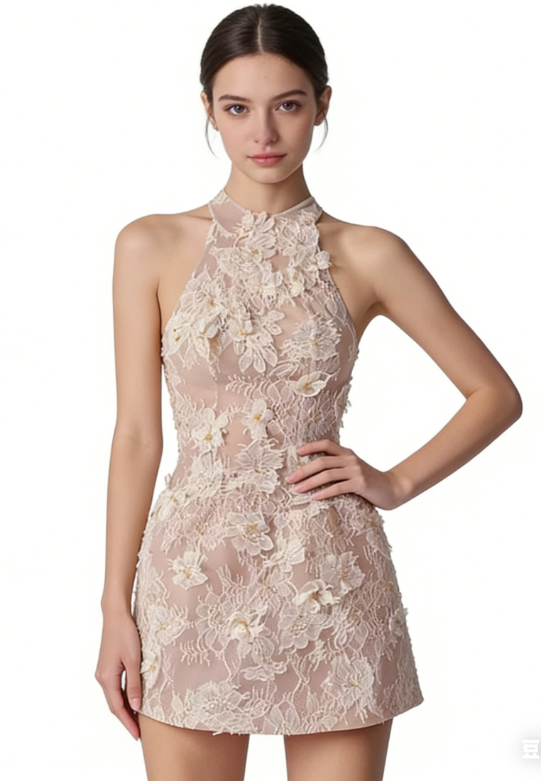 Elegant Floral Lace Mini Dress Sheer Mesh Bodycon Party Dress K26040912